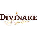 Divinare