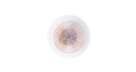 Настенный светильник Arte Lamp Ajour A1259AP-1PB