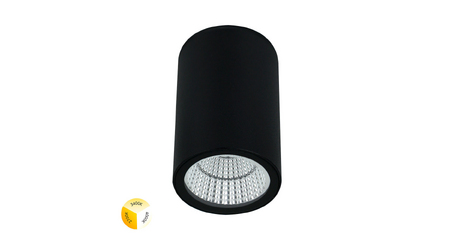 Уличный потолочный светильник Arte Lamp Torcular A1307PF-1BK