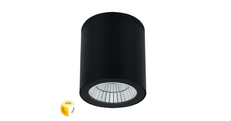 Уличный потолочный светильник Arte Lamp Torcular A1313PF-1BK