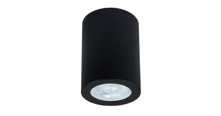 Накладной светильники Arte Lamp Tino A1468PL-1BK