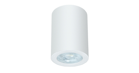 Накладной светильники Arte Lamp Tino A1468PL-1WH