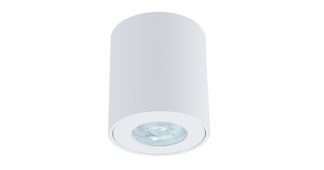 Накладной светильники Arte Lamp Tino A1469PL-1WH