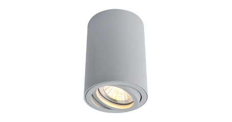 Потолочный светильник Arte Lamp A1560PL-1GY