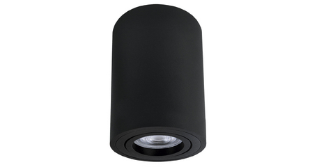 Накладной светильник Arte Lamp Sentry A1566PL-1BK