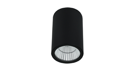 Уличный потолочный светильник Arte Lamp Torcular A1807PF-1BK