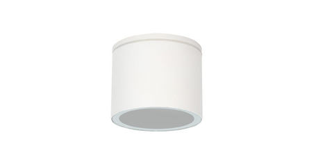 Уличный потолочный светильник Arte Lamp Piautos A1913PF-1WH