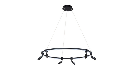 Подвесная люстра Arte Lamp Ring A2186SP-1BK