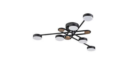 Потолочная люстра Arte Lamp Taygeta A2455PL-6BK