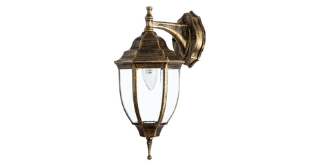 Уличный настенный светильник Arte Lamp Pegasus A3152AL-1BN