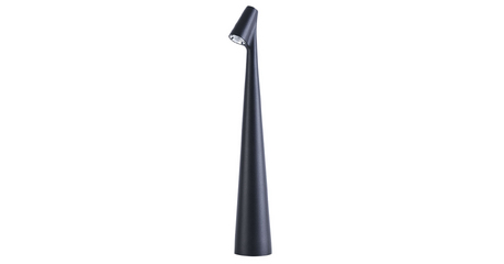 Настольная лампа Arte Lamp Fusion A3283LT-2BK
