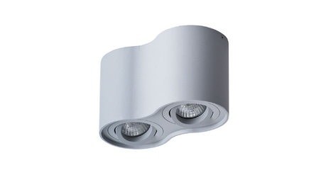 Потолочный светильник Arte Lamp Falcon A5645PL-2GY