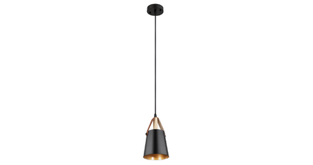 Подвесной светильник Arte Lamp Thomas A7032SP-1BK