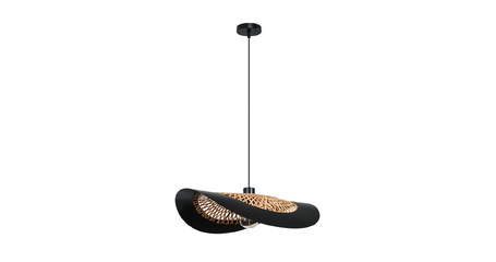 Подвесной светильник Arte Lamp Woodstock A7059SP-1BK