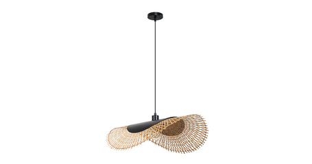 Подвесной светильник Arte Lamp Woodstock A7063SP-1BK