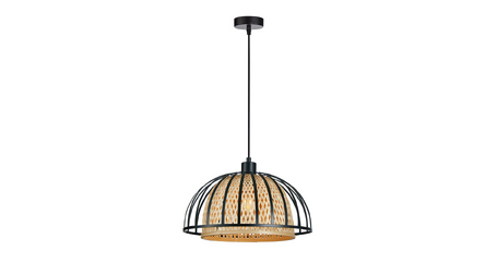 Подвесной светильник Arte Lamp Woodstock A7071SP-1BK