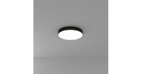 Потолочный светильник Arte Lamp Fado A7350PL-1BK