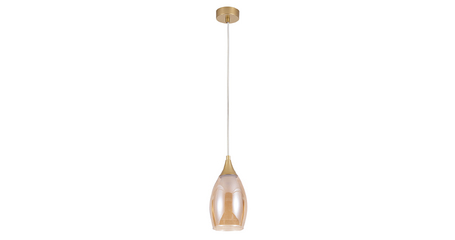 Подвесной светильник Arte Lamp Barry A7951SP-1GO