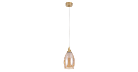 Подвесной светильник Arte Lamp Barry A7951SP-1GO