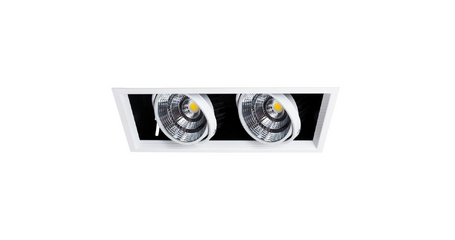 Встраиваемый светильник Arte Lamp Merga A8450PL-2WH