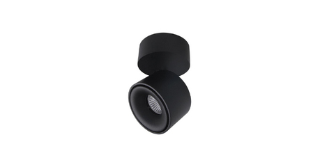 Спот Citilux CL558011N