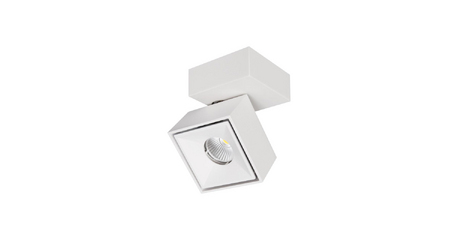 Спот Citilux CL558020N