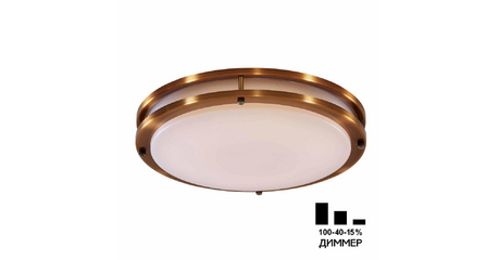 Настенно-потолочный светильник Citilux Бостон CL709503N