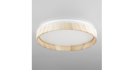 Потолочный светильник Citilux Enzo CL753352G
