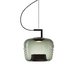 Подвесной светильник DeLight Collection 8871P/B L black/light green