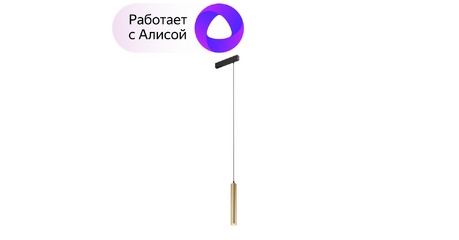 Трековый светильник Denkirs Smart DK8008-BG
