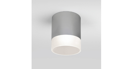 Уличный потолочный светильник Elektrostandard Light LED 4690389177965