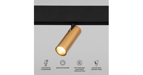 Трековый магнитный светильник Elektrostandard Slim Magnetic 4690389195280 a063529