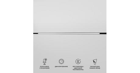 Трековый магнитный светильник Elektrostandard Slim Magnetic 4690389195389 a063541