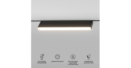 Трековый магнитный светильник Elektrostandard Slim Magnetic 4690389195419 a063544