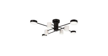 Потолочный светильник Freya Tibo FR6048CL-L8B