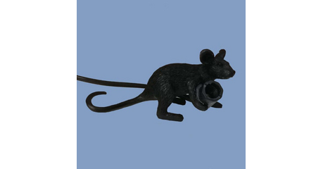 Настольная лампа ImperiumLoft Mouse lying 191633-22