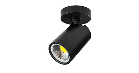 Спот Lightstar Rullo 213407