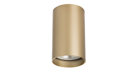 Накладной светильник Lightstar Rullo 214440