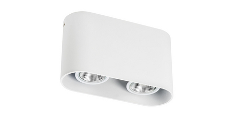 Накладной светильник Lightstar Rullo 214866
