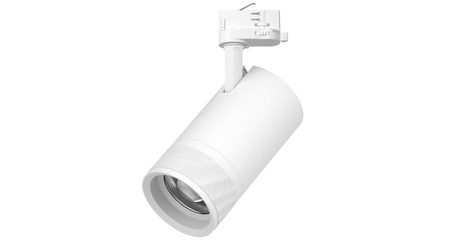 Трековый трехфазный светильник Quattro 20-55G с адаптером Lightstar Canno Pro C4406QT