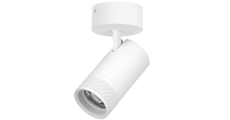 Накладной светильник 20-55G с адаптером Lightstar Canno Pro C4406SO