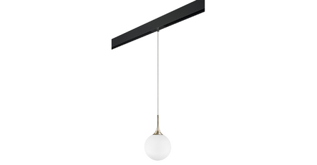 Трековый светильник Lightstar Globo PRO813023 (813023+595007)