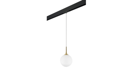 Трековый светильник Lightstar Globo PRO813032 (813032+595007)
