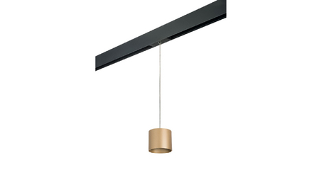 Трековый однофазный светильник Lightstar Rullo (213490+595887) PRORP3490