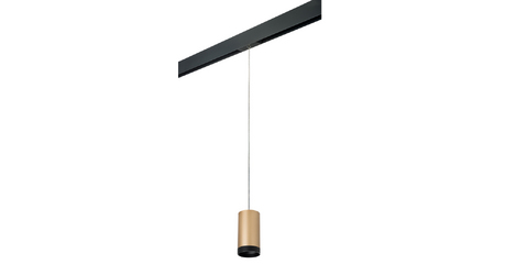 Трековый светильник Lightstar Rullo PRORP440437 (214440+595857+203437)