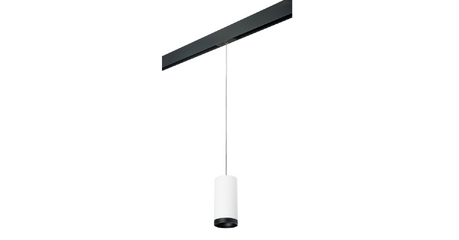 Трековый светильник Lightstar Rullo PRORP64863487 (216486+595887+203487)