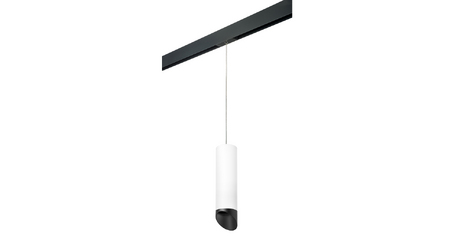 Трековый светильник Lightstar Rullo PRORP649687 (216496+595887+201487)