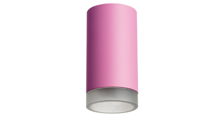 Накладной светильник Lightstar Rullo R43230 (214432+202430)