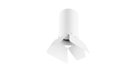 Потолочный светильник Lightstar RULLO R436436 (214436+202436)