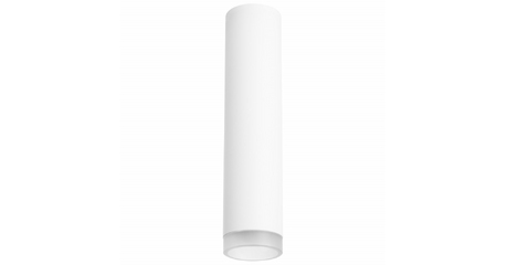 Потолочный светильник Lightstar RULLO R49630 (214496+202430)